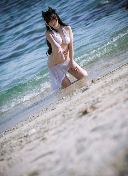 藏海花电视剧免费观看