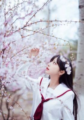 锦绣安宁电视剧免费
