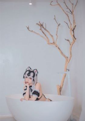 间谍过家家第二季免费播放